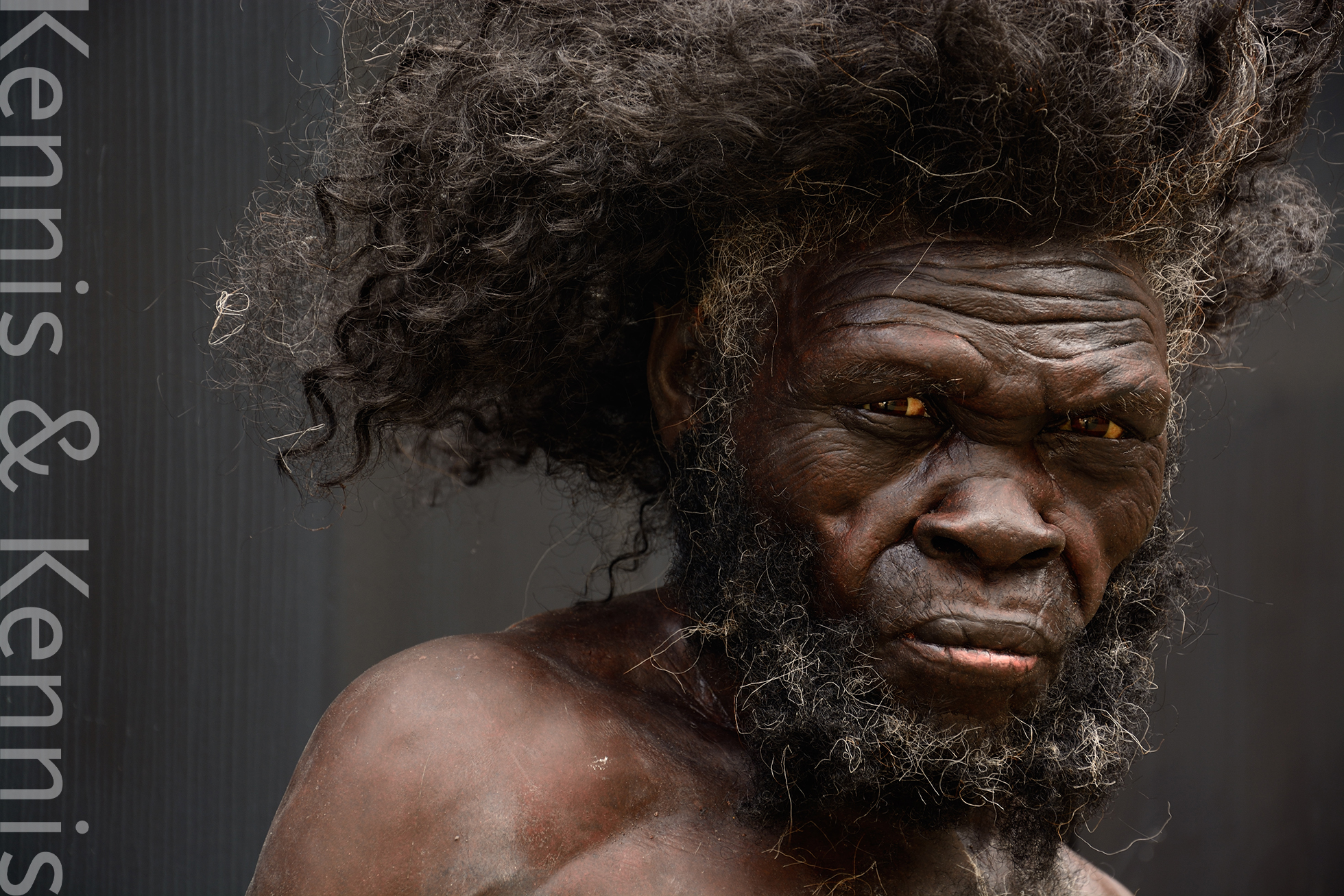Найстаріший Homo sapiens?