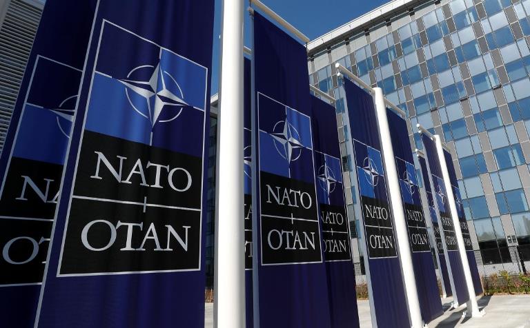 Парламентарі закликають до єдності та довіри напередодні саміту НАТО