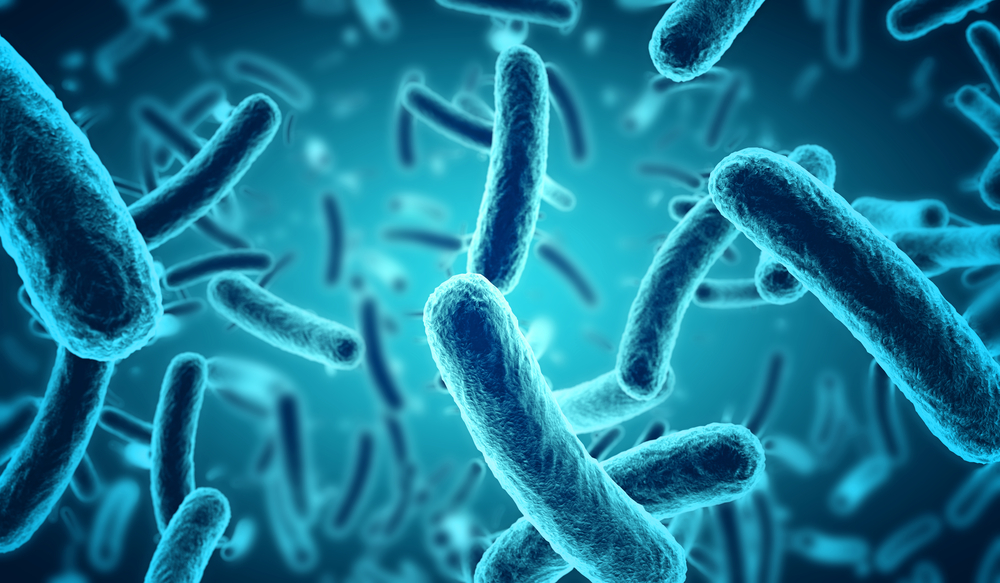 Учені стверджують, що ми більше мікроби, ніж люди