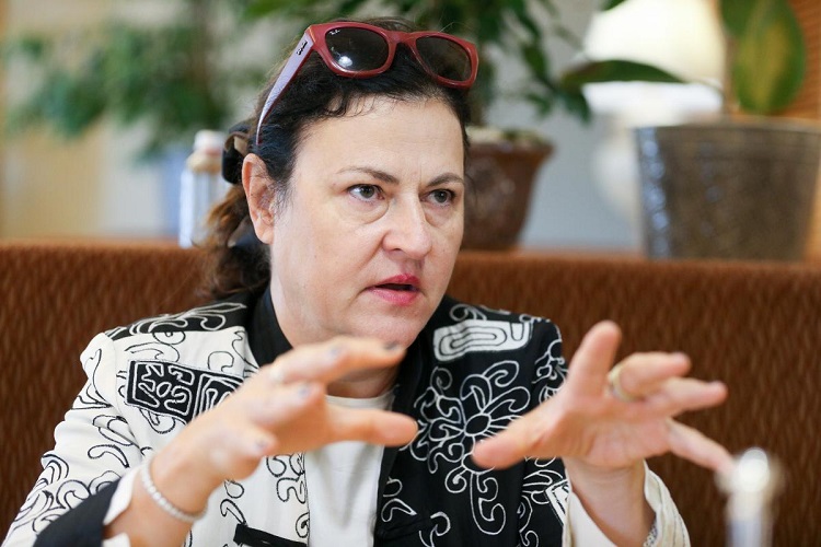 Представниця Єврокомісії Матернова: український реформаторський уряд хоче скористатися можливістю