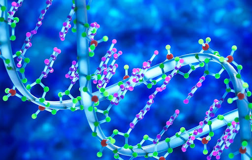 ДНК як носій даних