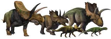 Дієта динозаврів і еволюція￼