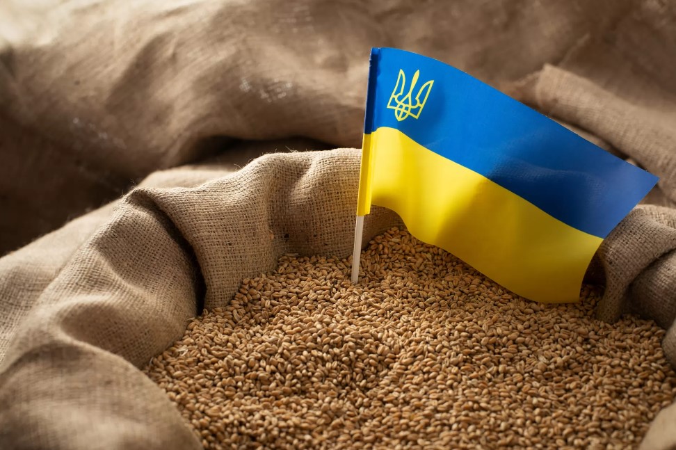 Єврокомісія заборонила імпорт деяких продовольчих культур з України