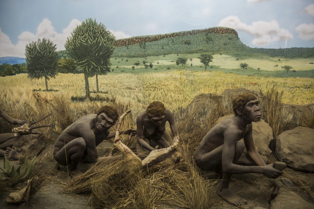 Homo sapiens дісталися до Східної Азії завдяки мусонам